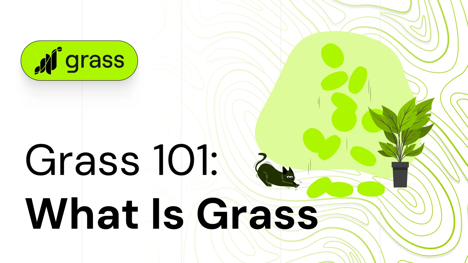 grass blog
